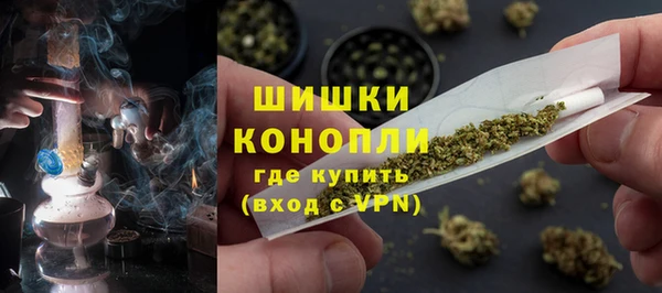 дживик Козловка